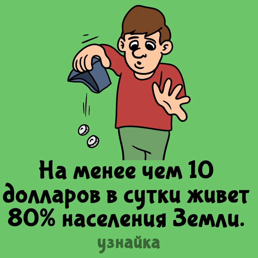 Сегодня на ужин доширак или доширак?😢