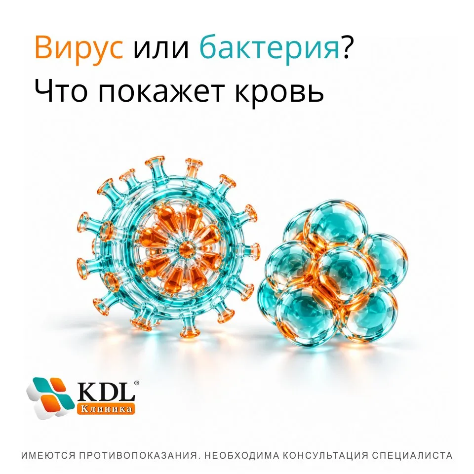 🤒 Вирус или бактерия? Что покажет кровь