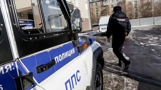 Железногорку оштрафовали на 15 тысяч рублей за пинок полицейского в грудь