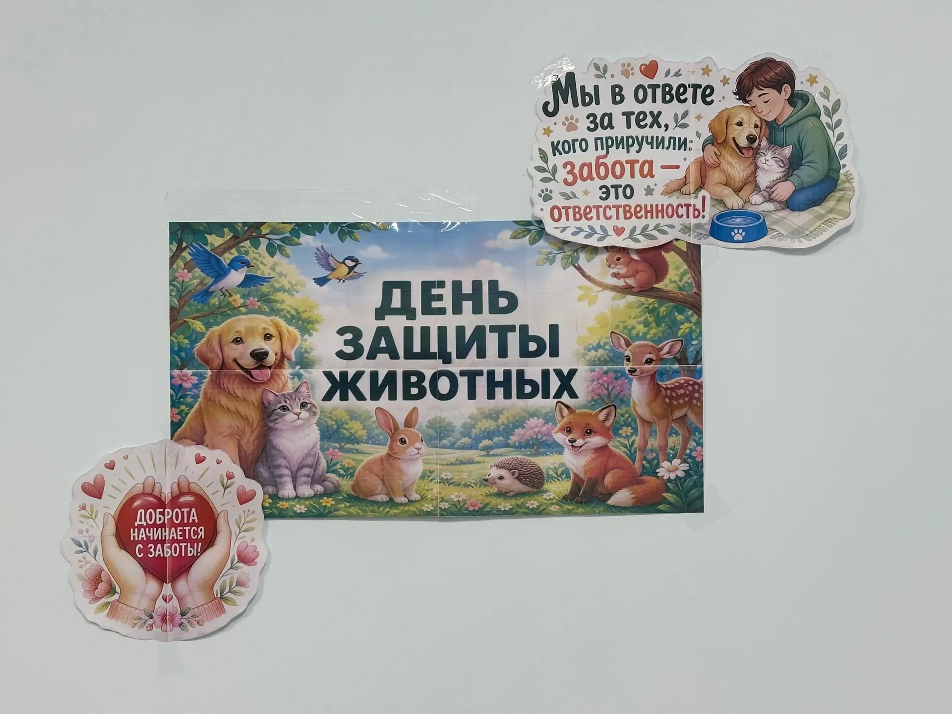 В Кунашакской школе проходит акция в поддержку животных