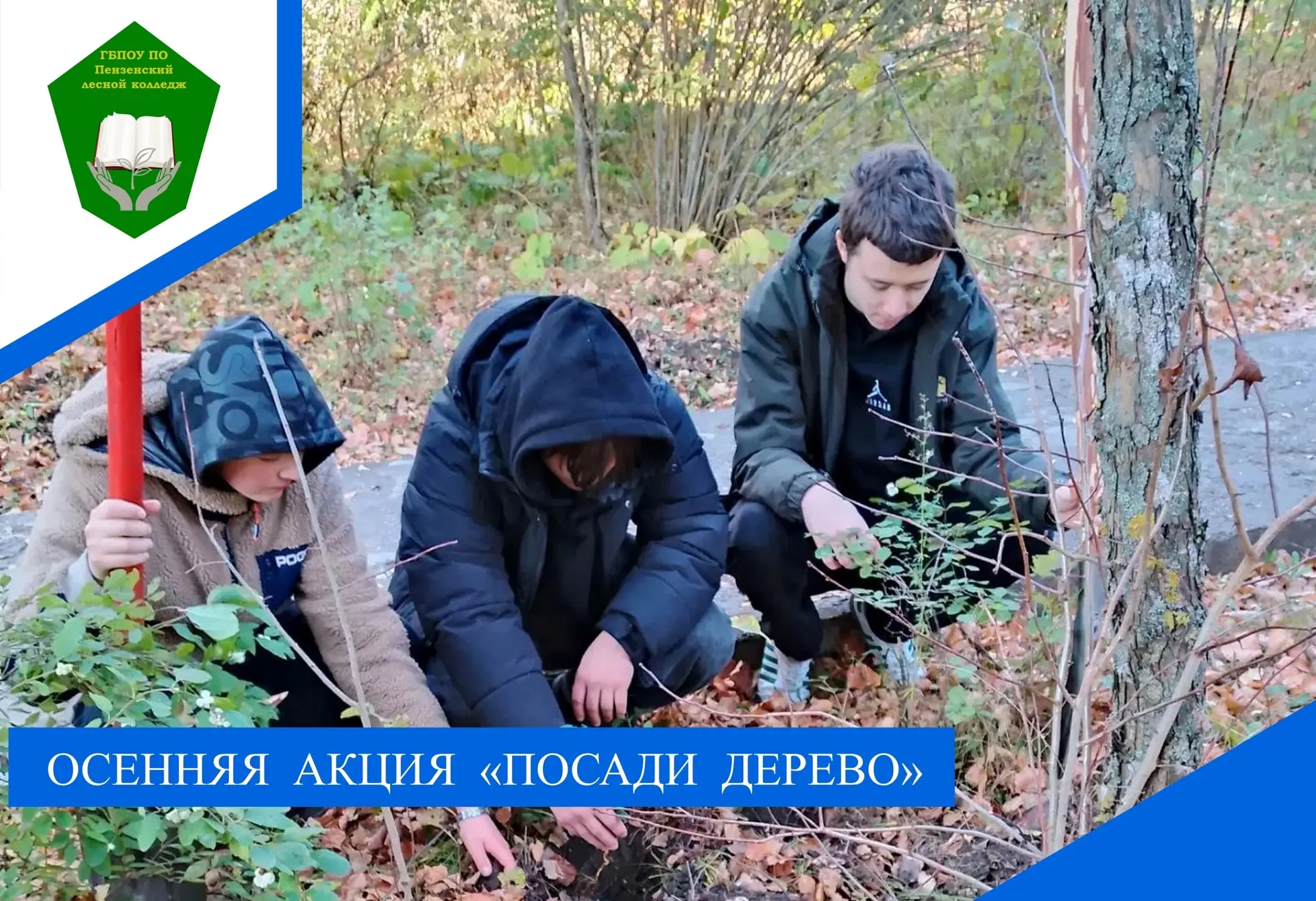 В колледже состоялась традиционная осенняя акция «Посади дерево». Студенты под руководс...
