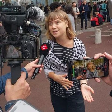 «Иностранные вмешательства»