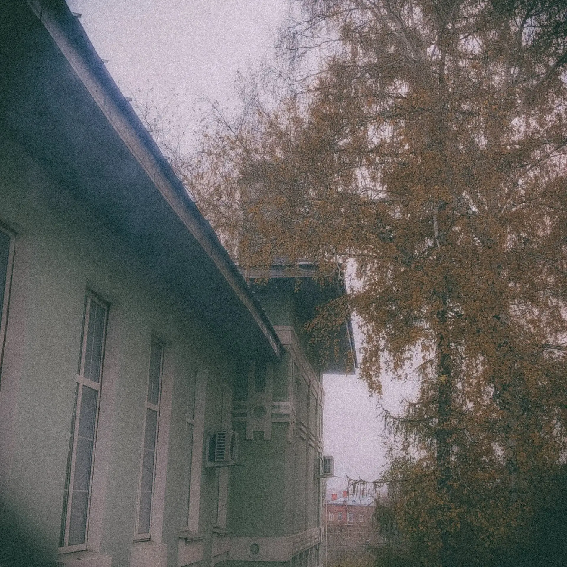 🍂 Ну что, как вам эта осень?