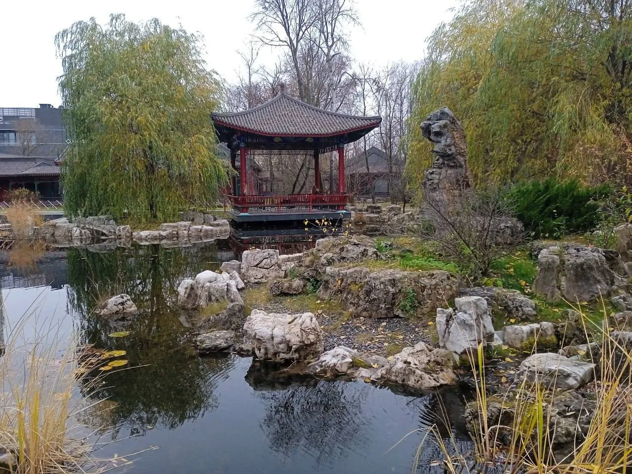 🍂 Осенние краски парка «Хуамин»