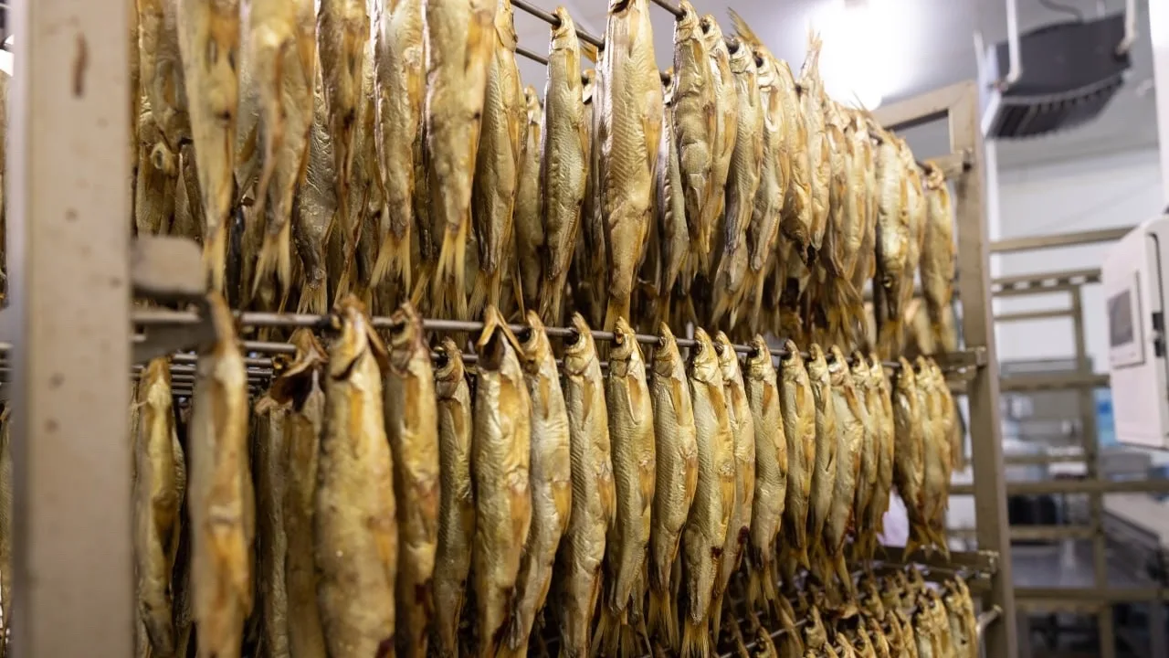 🐟 Салехардский комбинат увеличил выпуск продукции холодного копчения на 35%