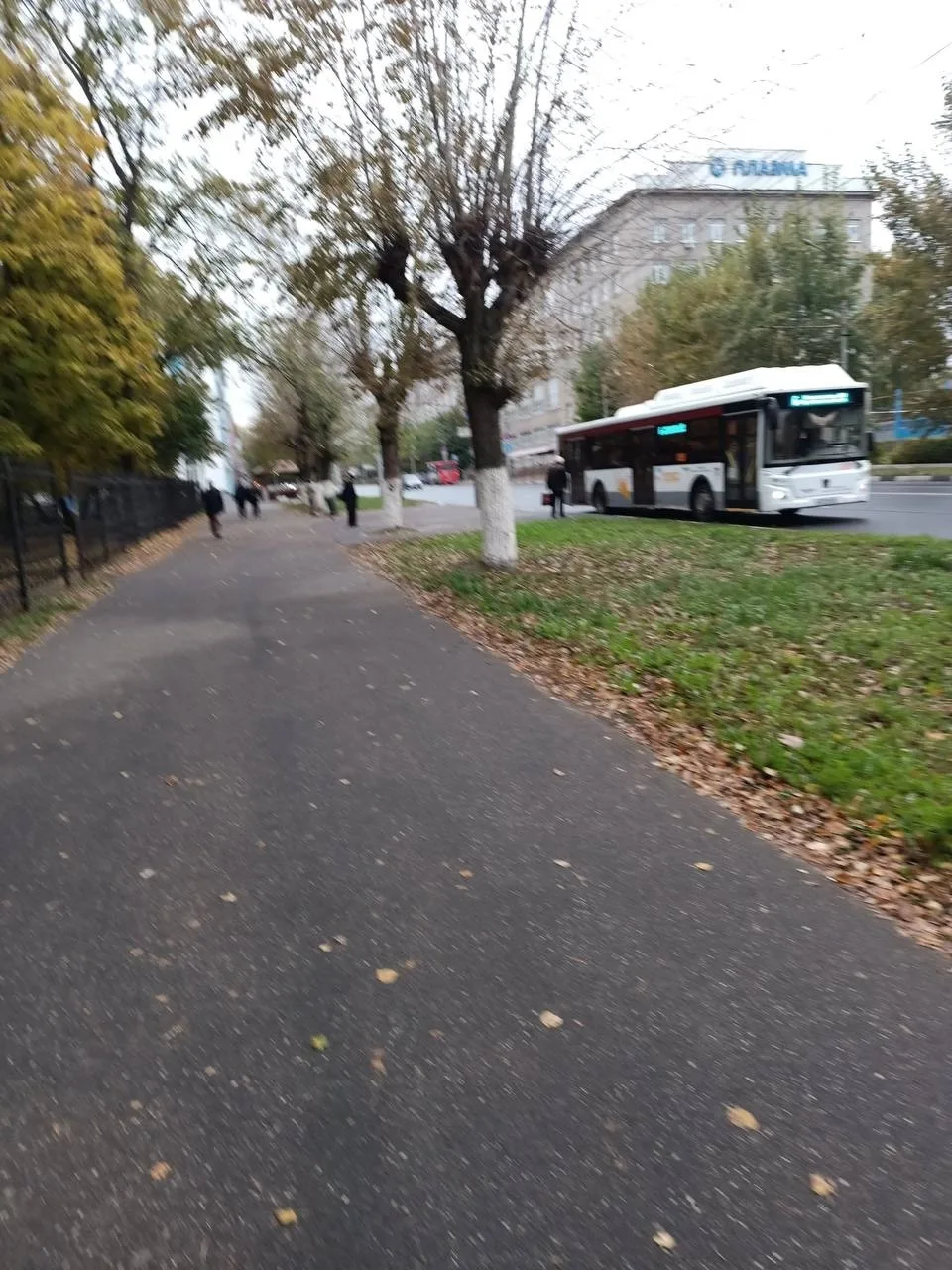 В Рязани остановки месяцами стоят без укрытий