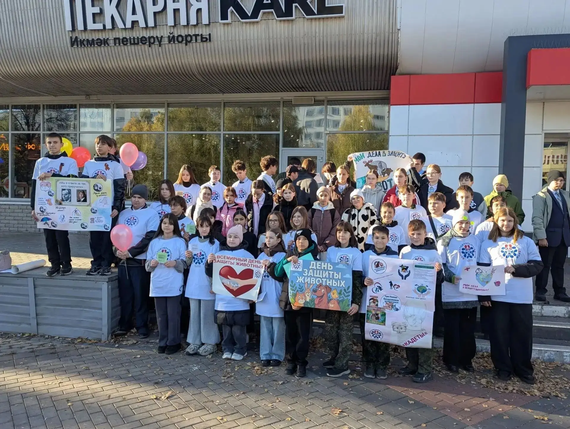 🐾 Сердца, полные заботы