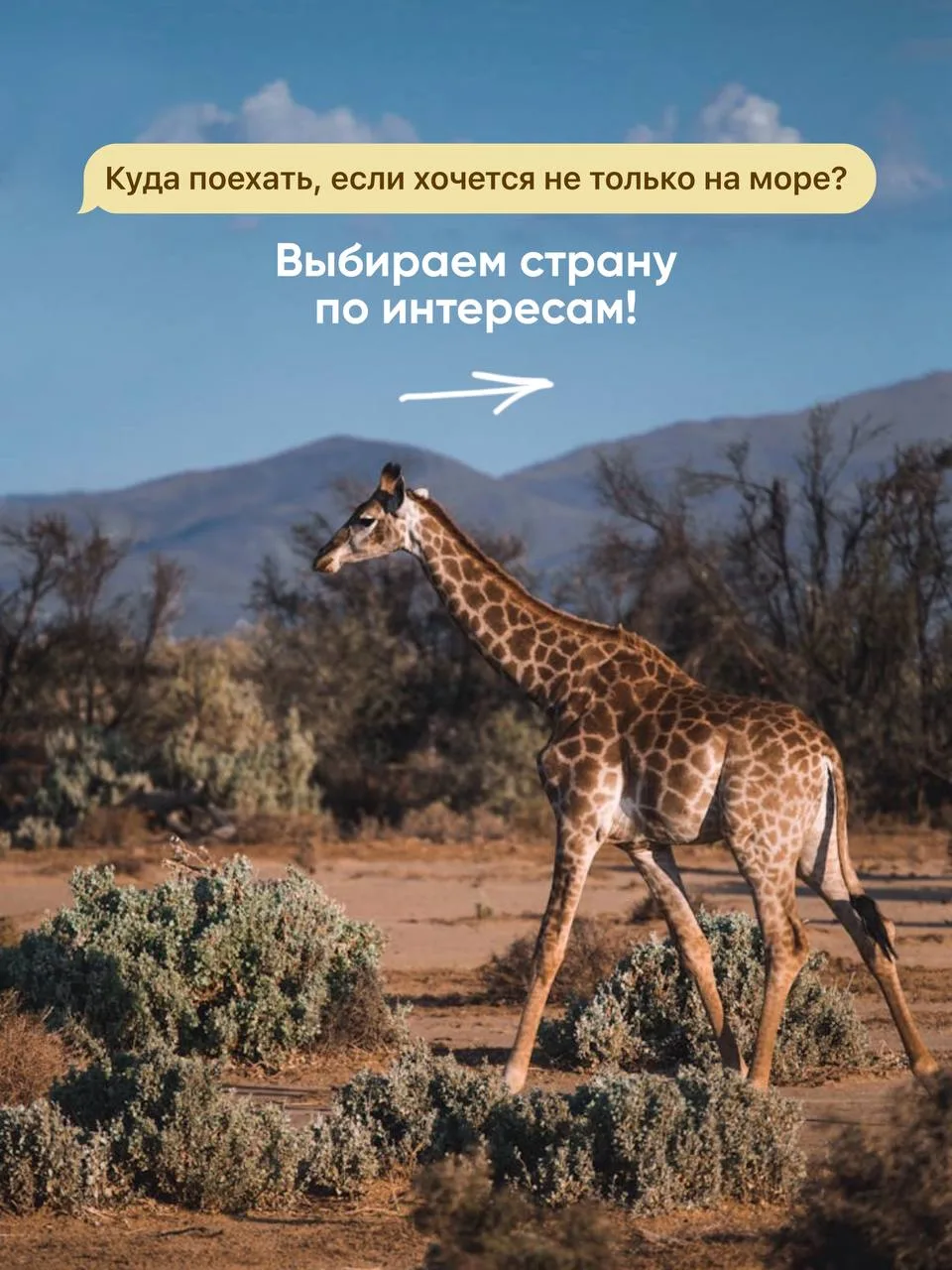 🌍 Путешествие начинается не со страны, а с того, что вам интересно!
