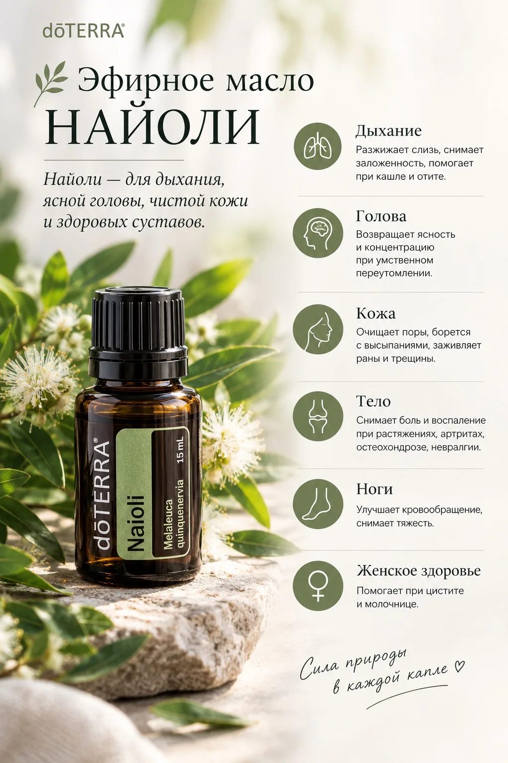 🌿 Октябрь в dōTERRA: подарок №1 — редкое масло Найоли