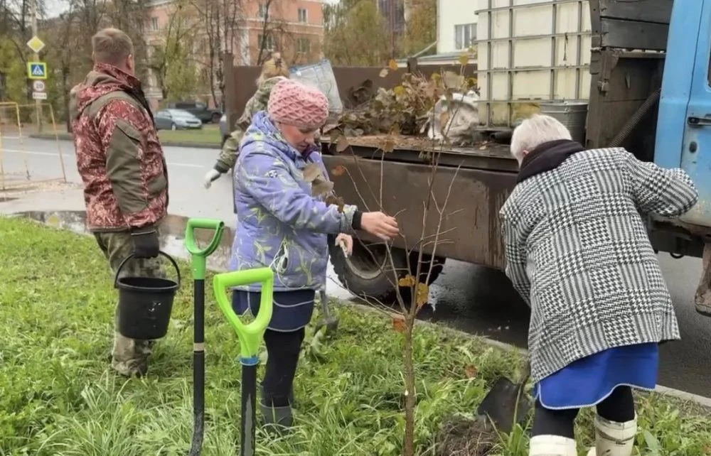 🌳 В Костроме завершается осенний этап озеленения улиц и скверов