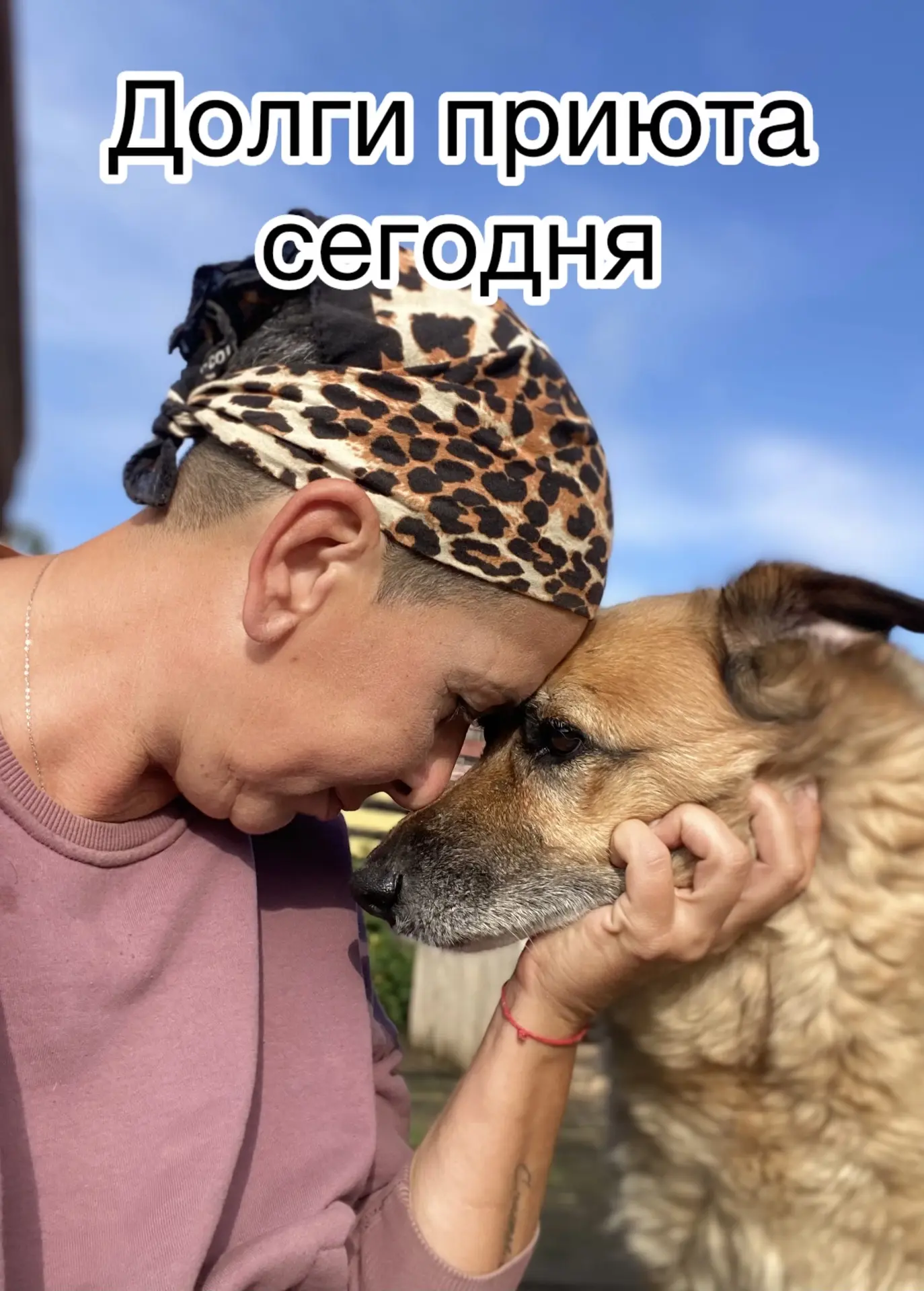 Друзья, поговорим начистоту о сборах, долгах и счетах.