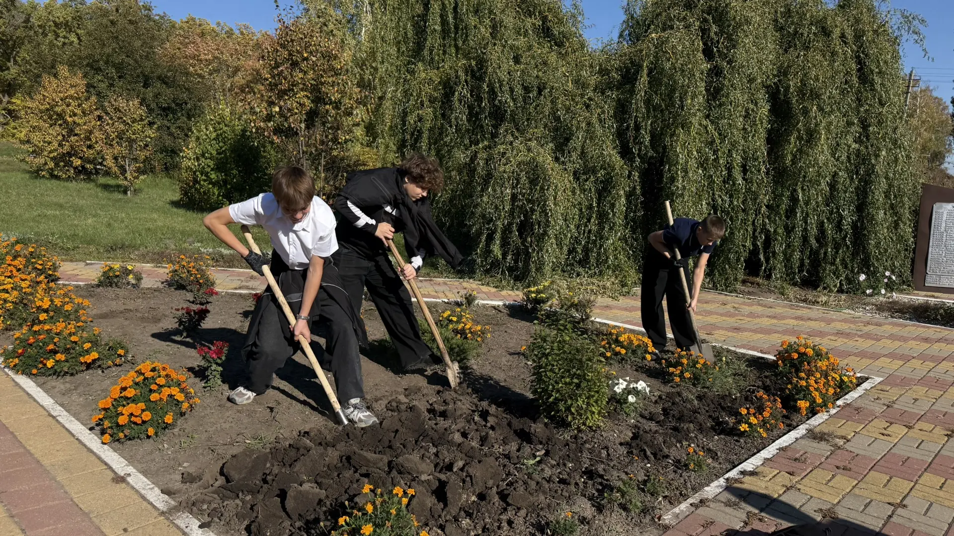 Волонтёры нашей школы привели в порядок мемориал погибшим землякам. Ребята подмели доро...