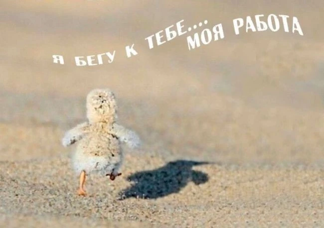 😀завтра….
