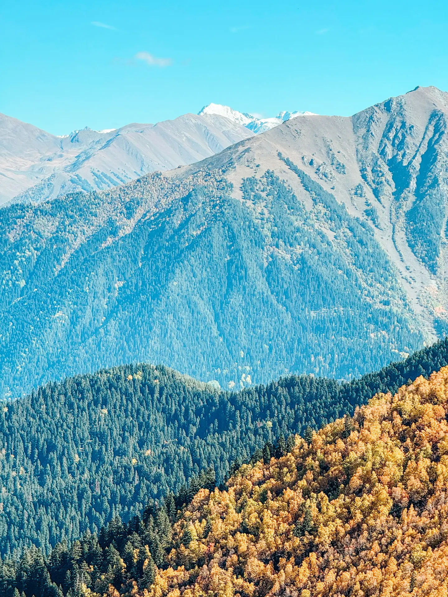 Осень в горах Архыза🤩🍁