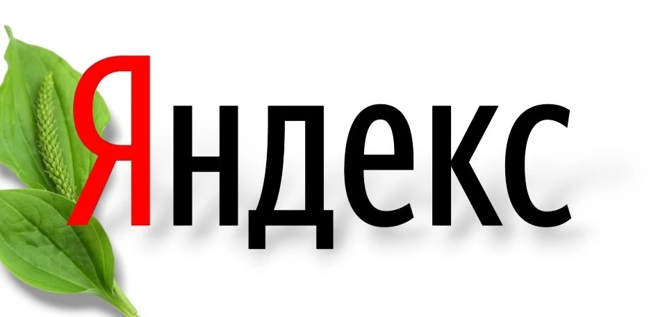 «Яндекс» восстанавливается после сбоя: что известно 🛜