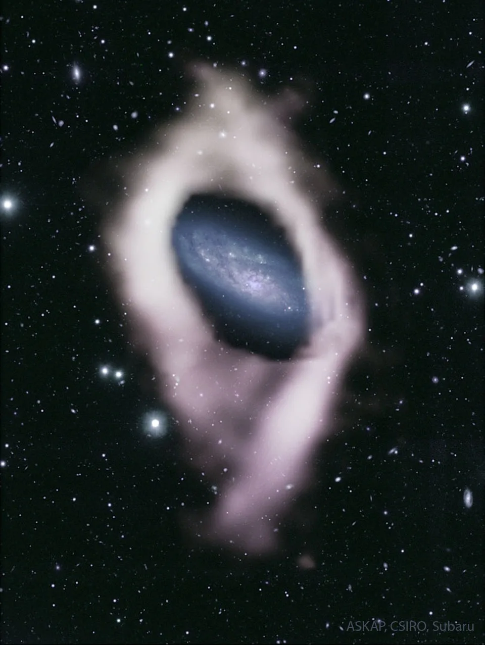 NGC 4632: галактика со скрытым полярным кольцом [Космокадр 13.09.2023]