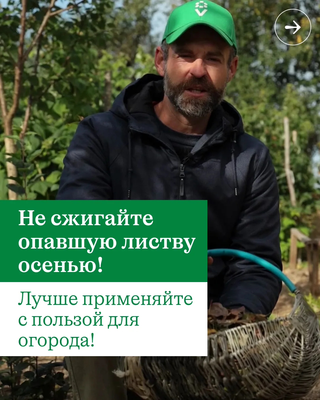 🍁 Куда девать горы опавших листьев осенью? Только не сжигать! Есть более полезные спос...