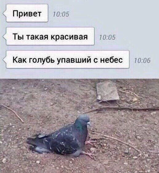 🤣