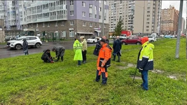 Больше зелени в Мурино!
