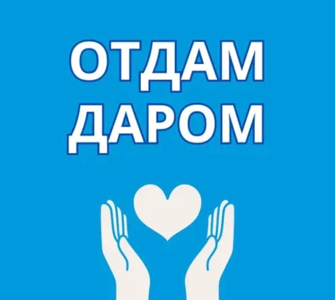 📦 Отдам бесплатно! 📦