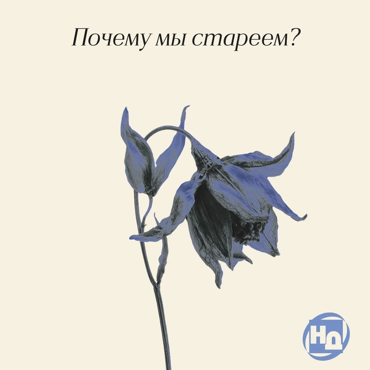 🧬 Почему мы стареем и как замедлить процесс