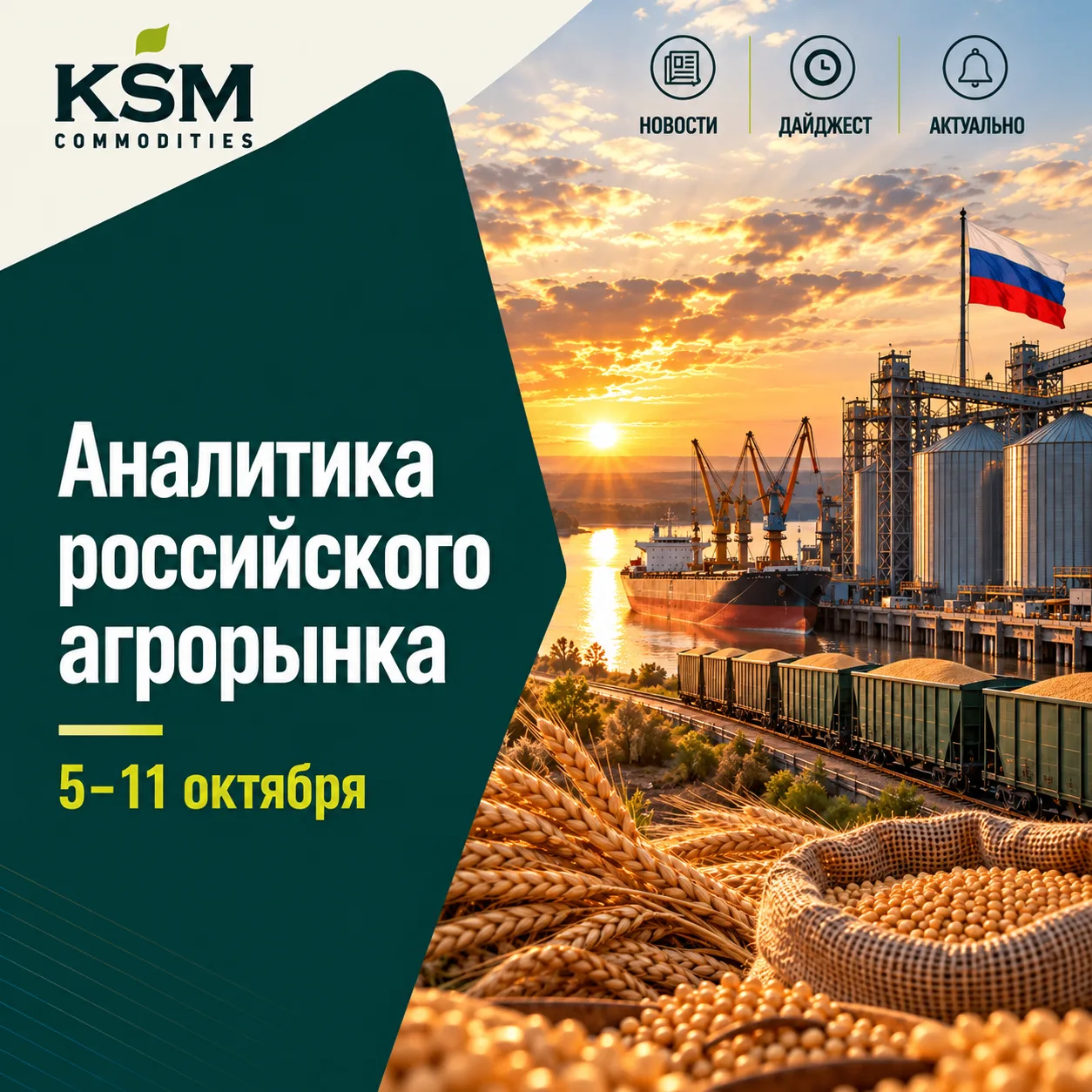 🇷🇺 Аналитика российского аграрного рынка