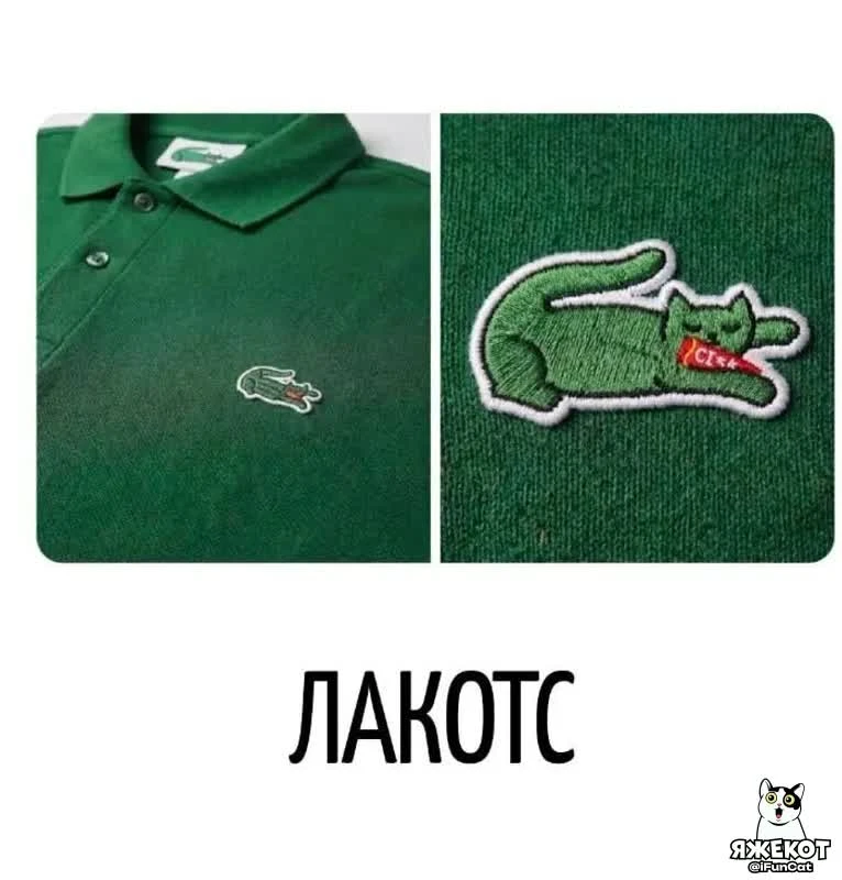 🐾 ЯЖЕКОТ