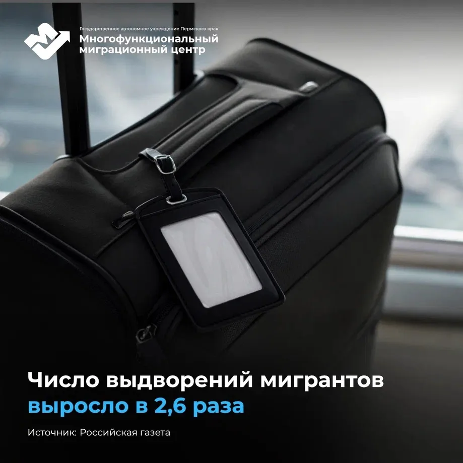 📊Число выдворений мигрантов выросло в 2,6 раза
