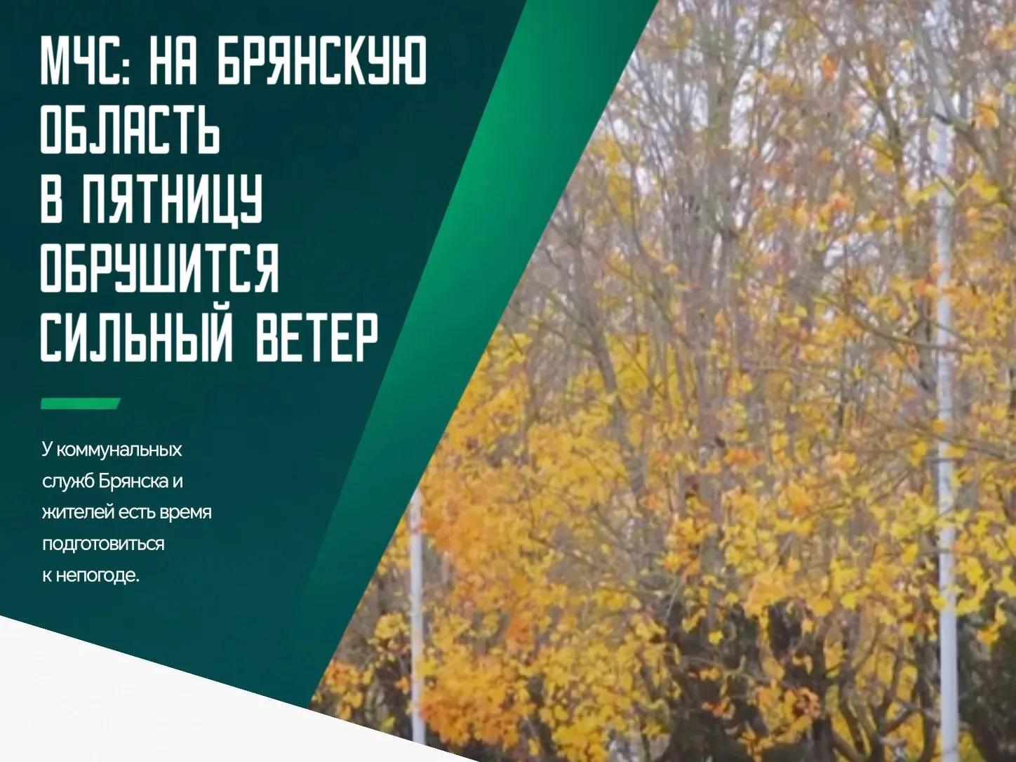 По прогнозам синоптиков, непогода на территории Брянской области разыграется в пятницу,...