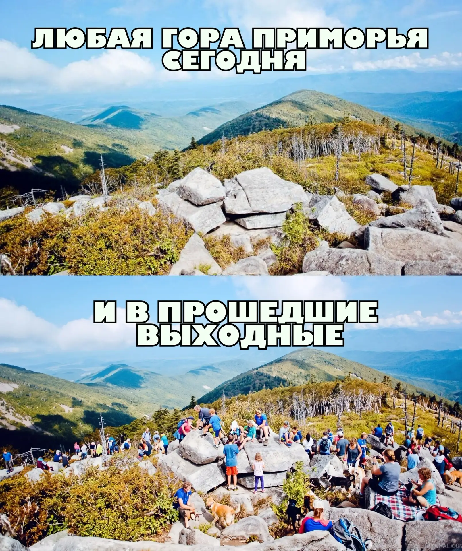 Ссылка на канал в МАХ: https://max.ru/m_chernosliv