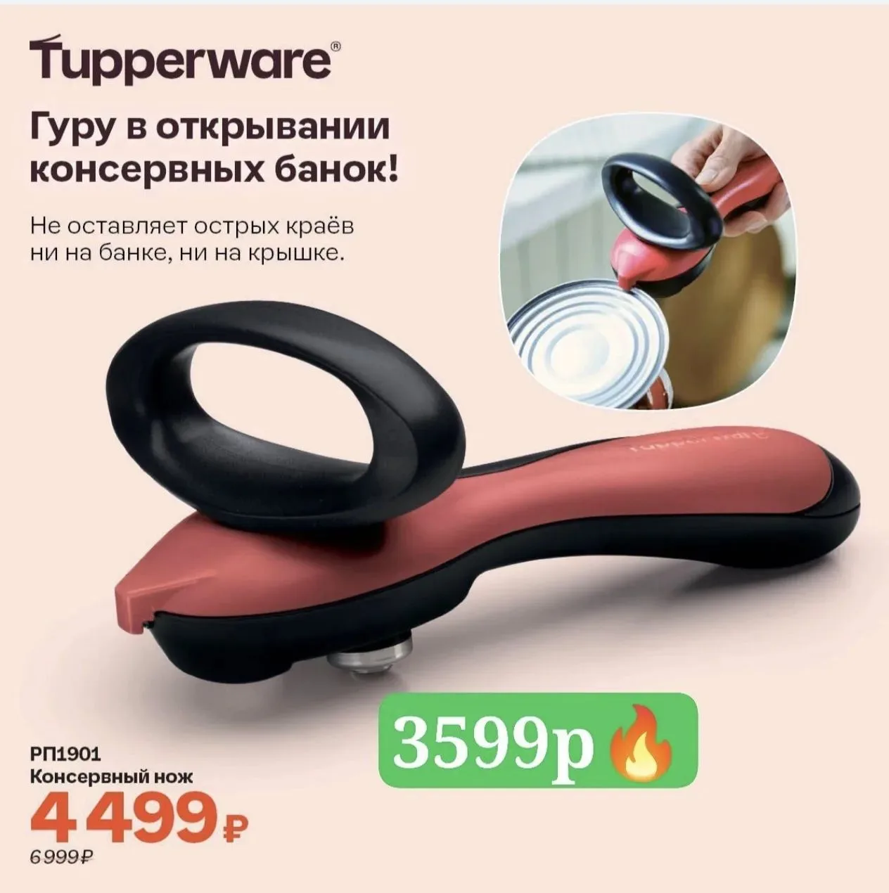 89179579366 Tupperware Елена