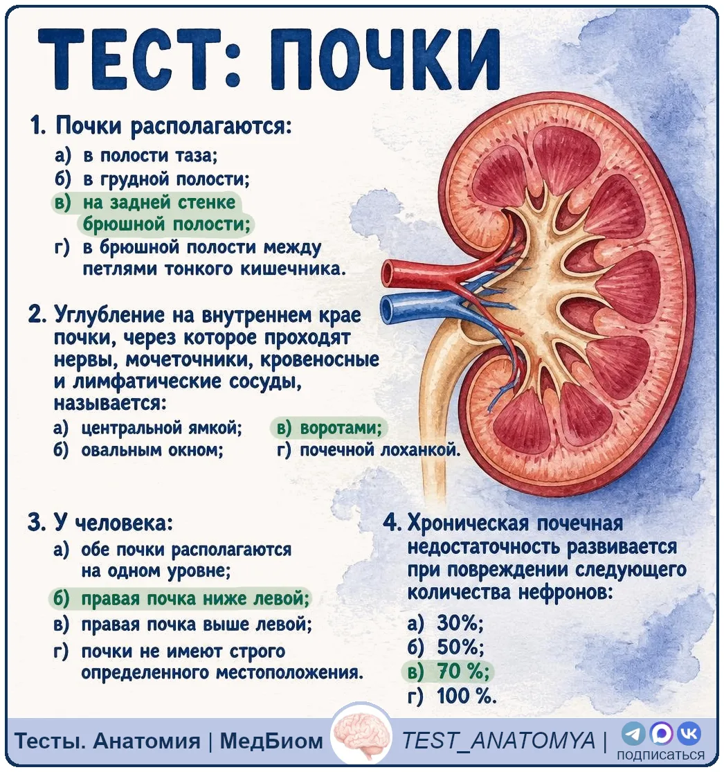 ⬆️ Ответы на вопросы
