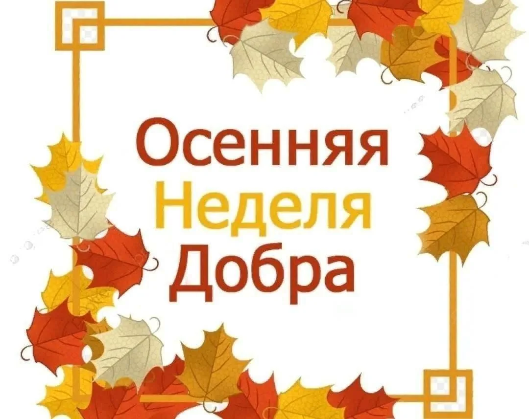 С 12 по 18 октября мы запускаем масштабный марафон — «Осеннюю неделю добра»! 🍂🧡 Наш д...