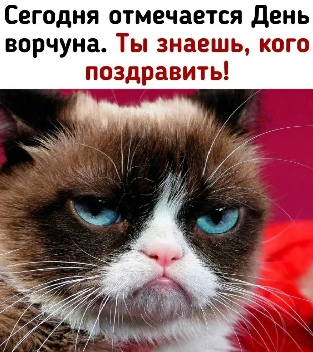 Сегодня отмечается Всемирный день ворчуна