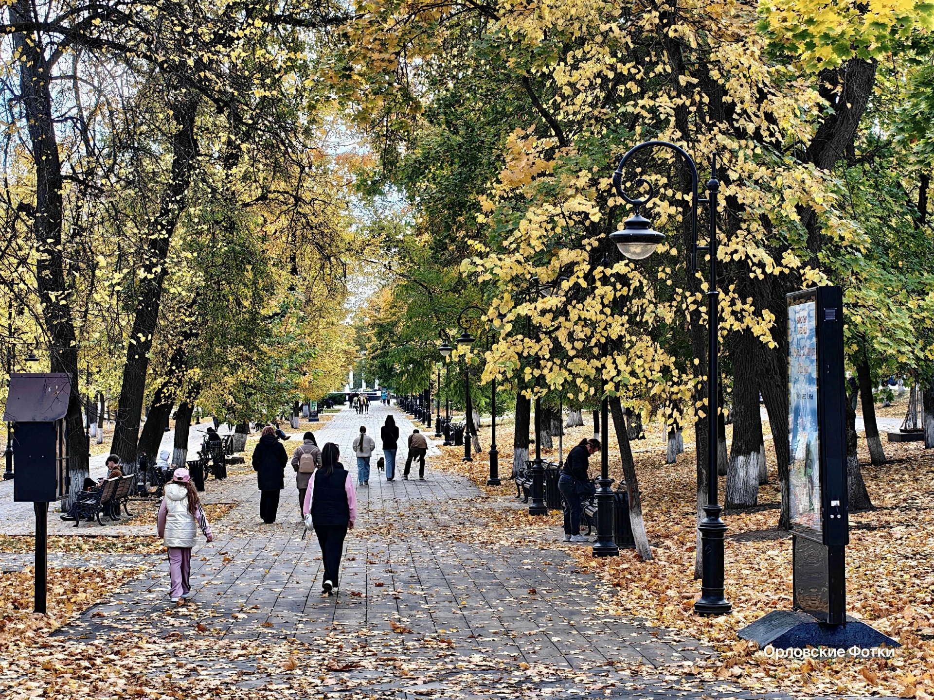 🍂 Орловчан ждет еще несколько дней "бабьего лета"