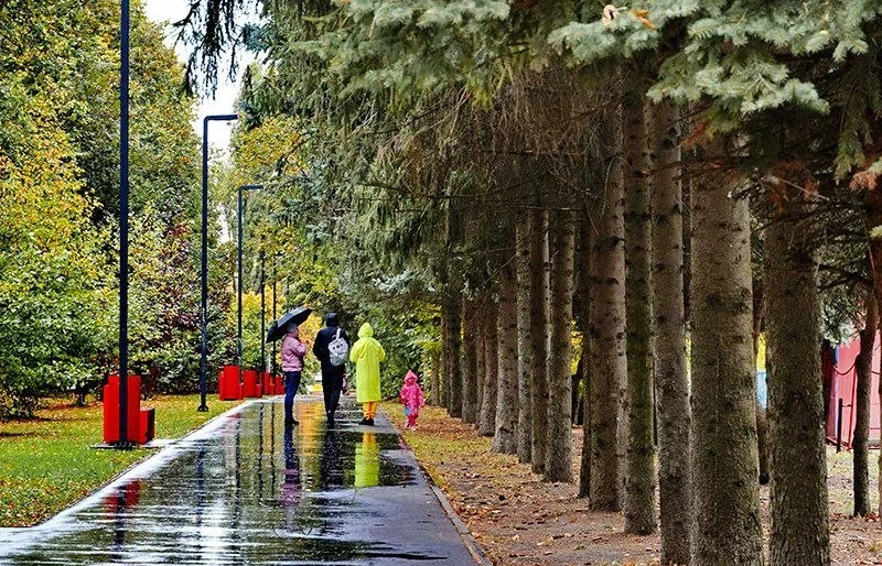🌧 Ночью Липецкую область накроют небольшие дожди