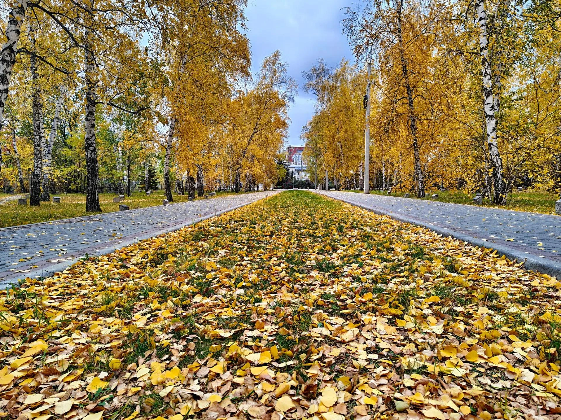 Доброе утро, Мамонтовский район!