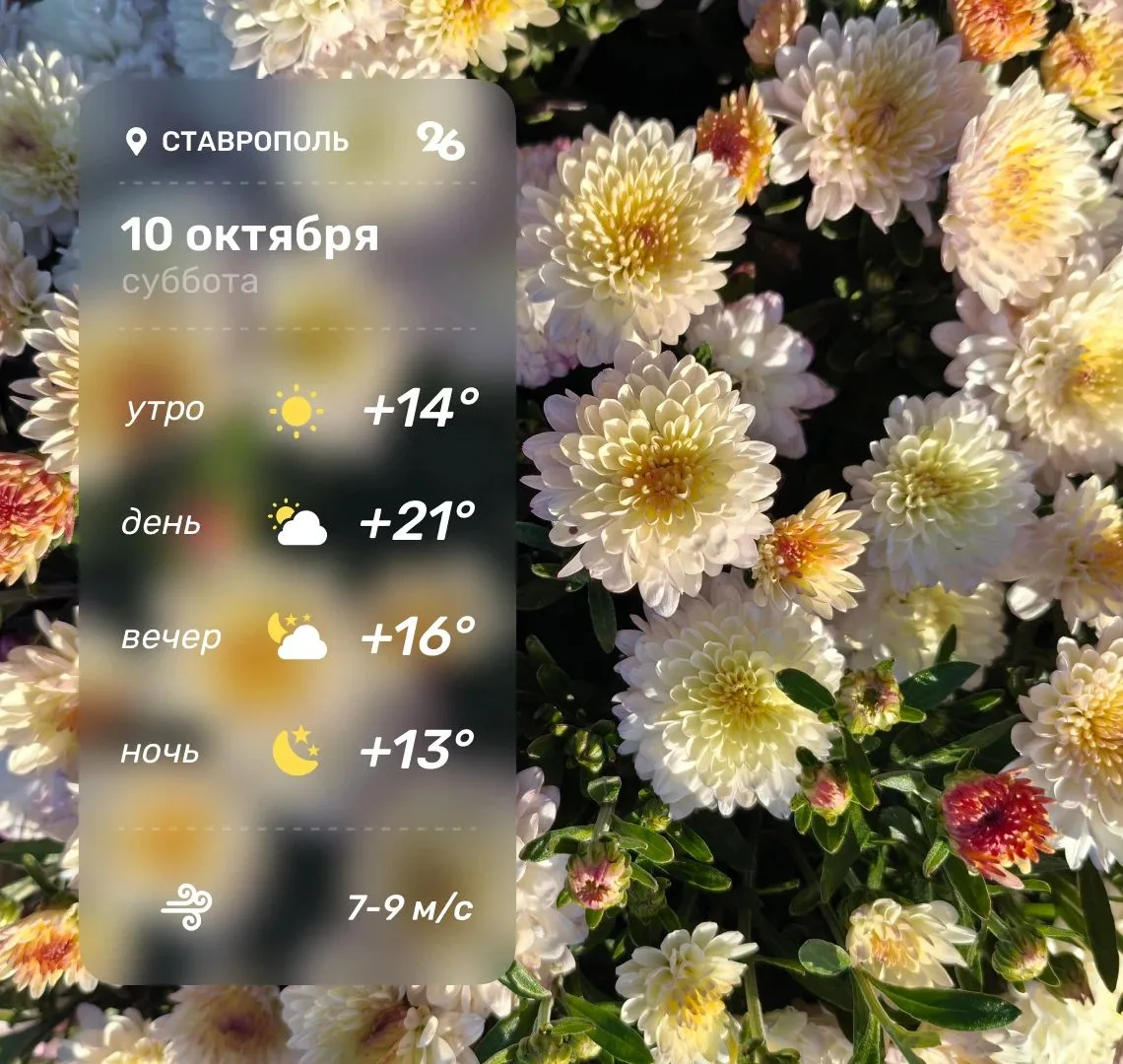 ⛅️ Погода в Ставрополе 10 октября