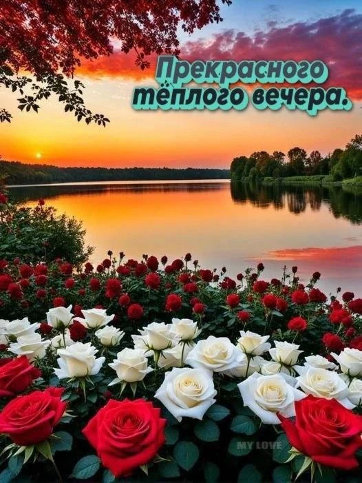 Пусть ночь будет спокойной и тихой, а вы сможете ощутить божественную любовь и милость!