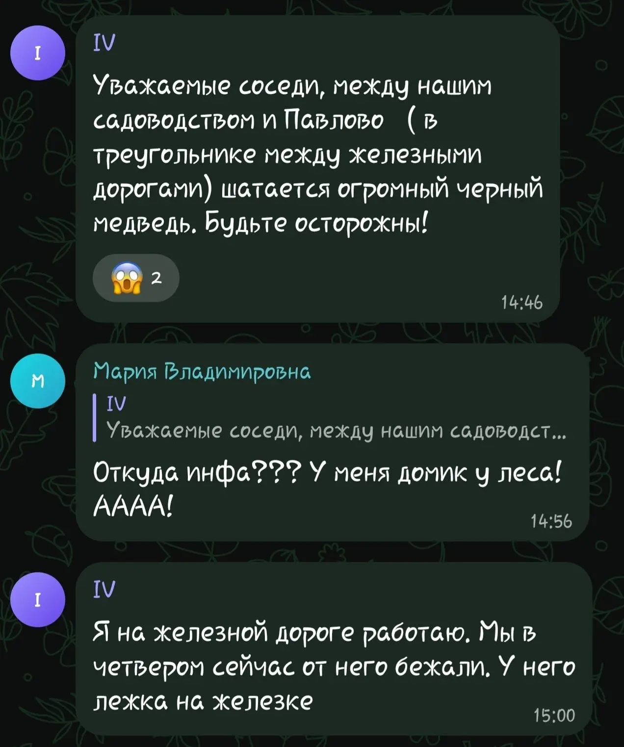 В чате СНТ "Невский Завод" предупреждают о медведе, которого видели сегодня между Павло...