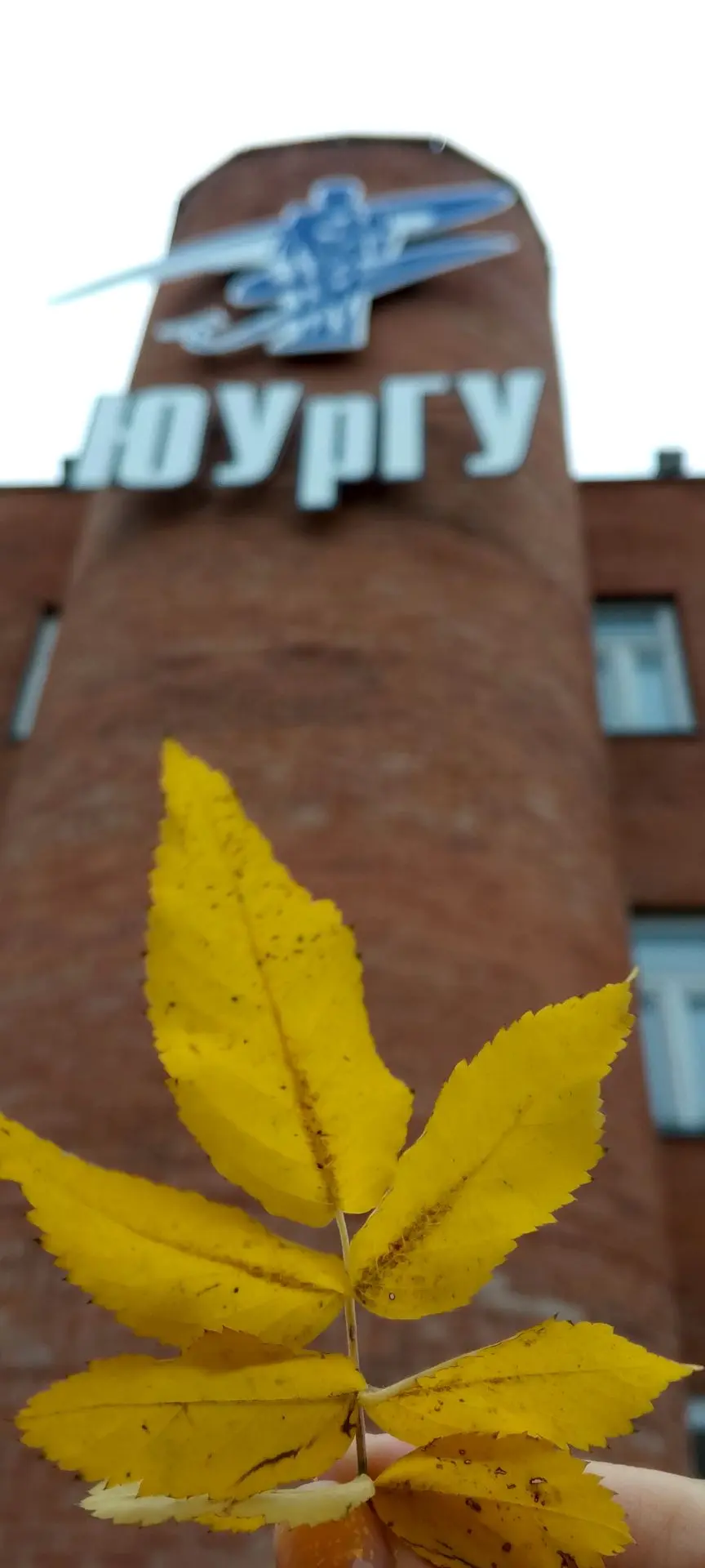 🍁Доброе утро, филиал ЮУрГУ в г. Златоусте!🍁