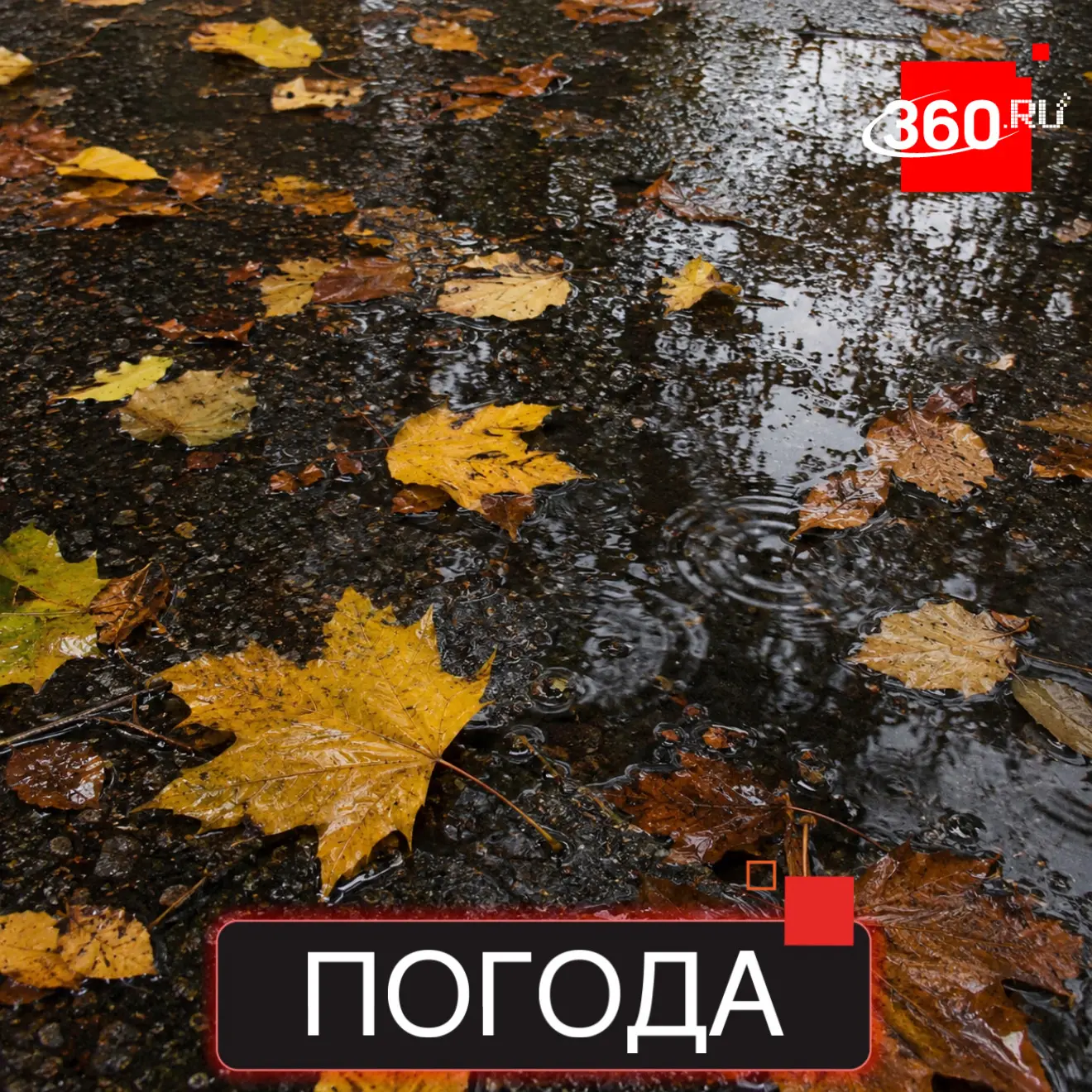 Хорошего понедельника, Солнечногорск! ☁️