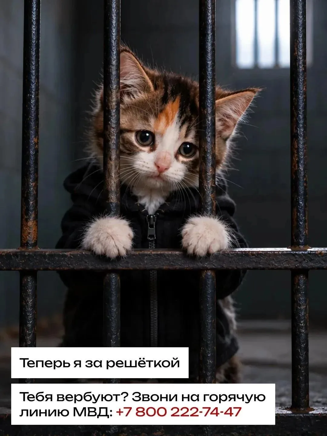 Выполнение заданий вербовщика приведёт тебя в тюрьму ⛓️