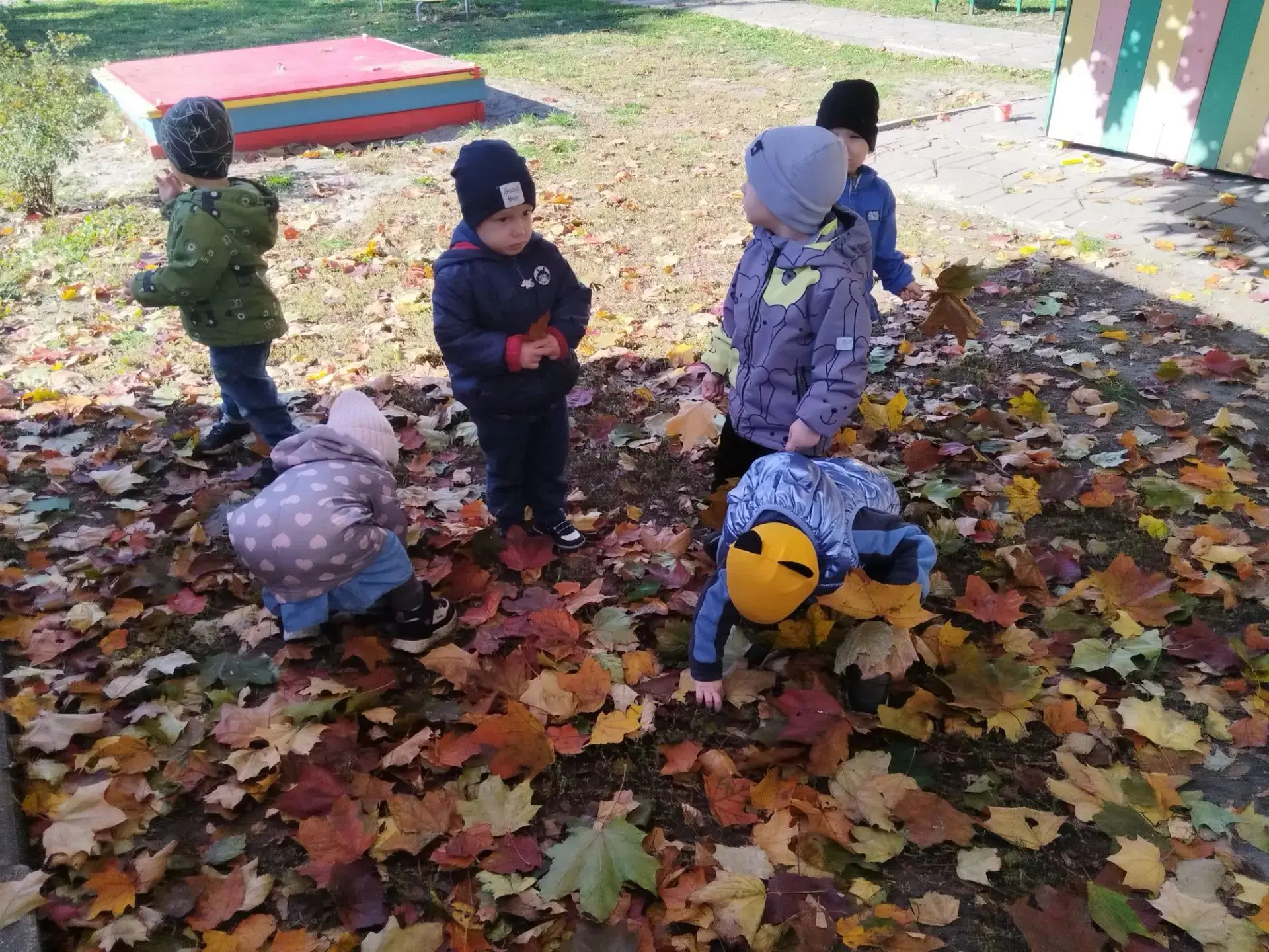 «Красота родной природы»