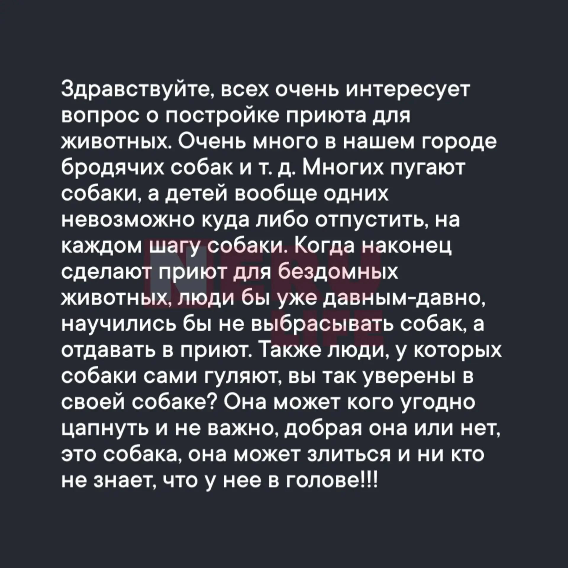 Про приют