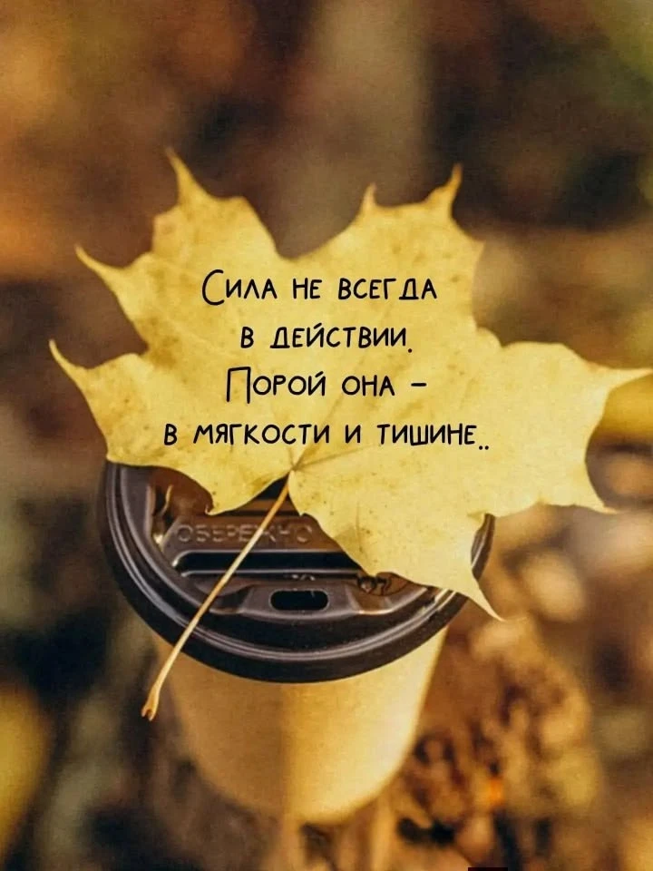 https://max.ru/se13912156_biz