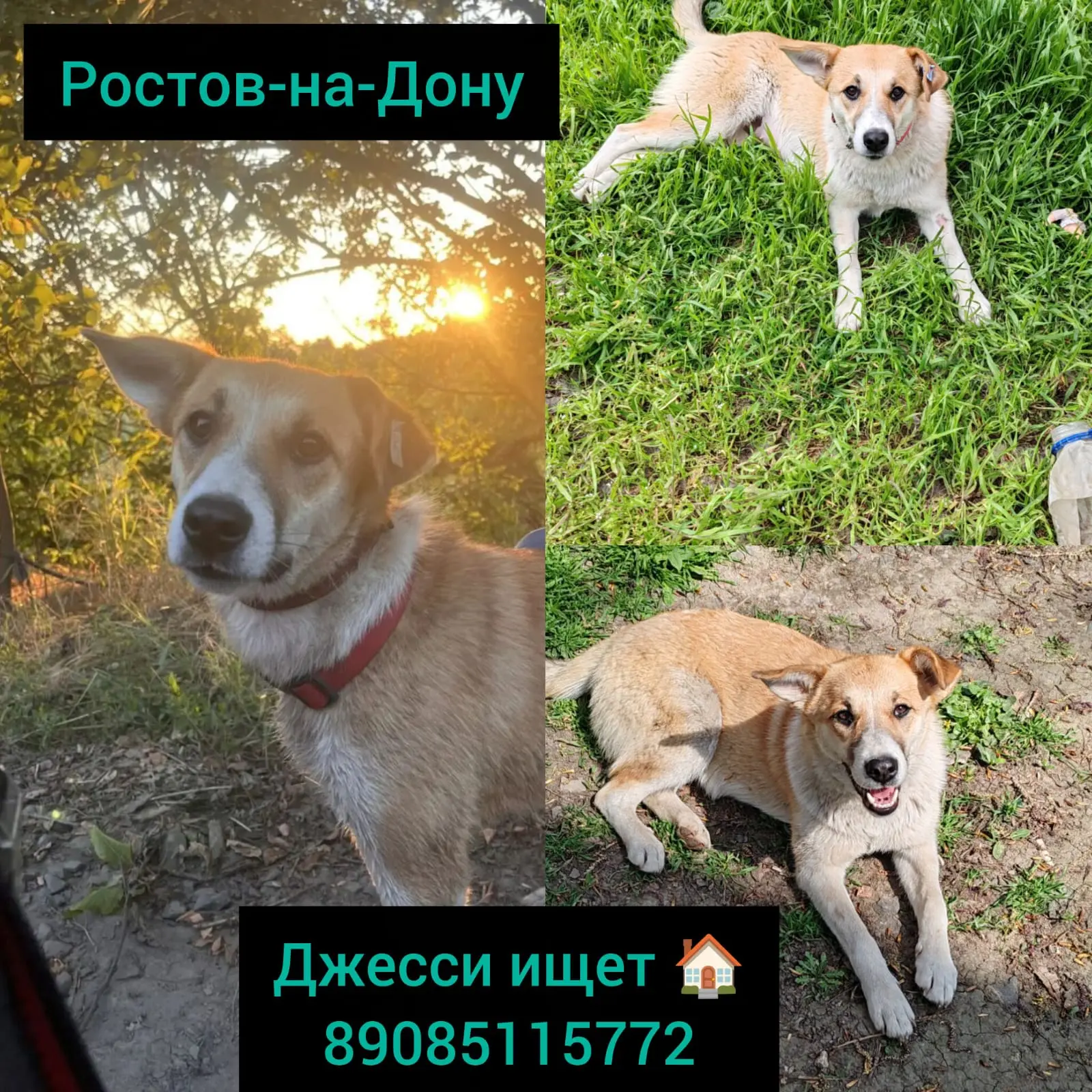 Ростов-на-Дону