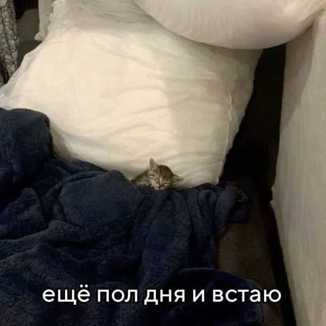 Всем хорошего воскресенья и чудесных моментов 🧡