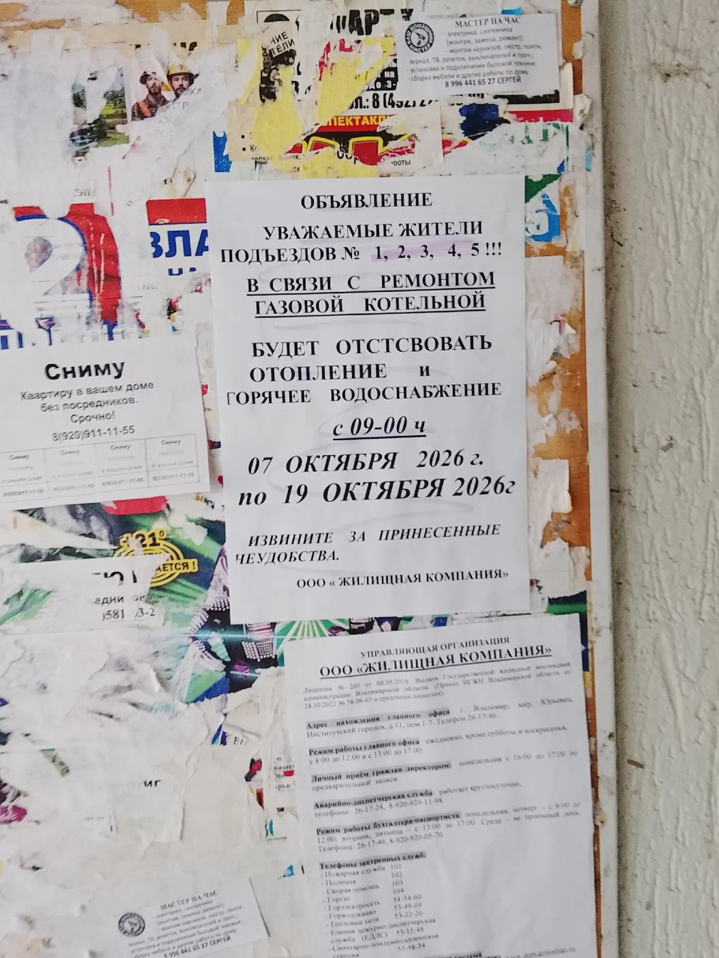Это нормально, что сейчас отключили на две недели отопление и горячую воду во Владимире...