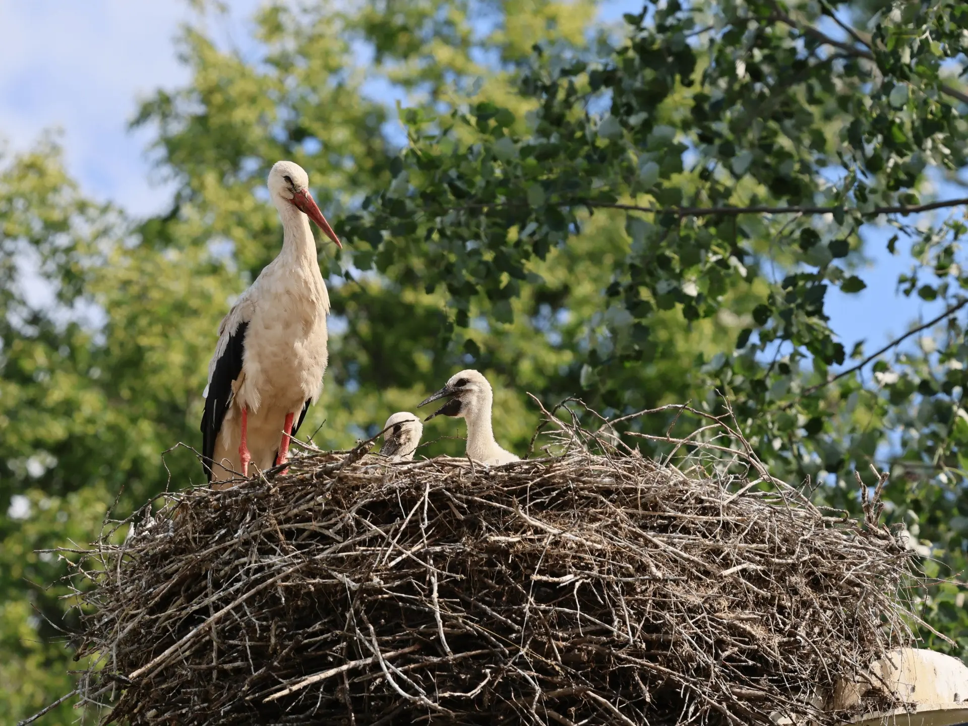 🙏 В гостях у молодой семьи...